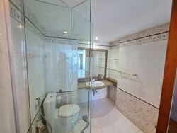 Cairnhill Plaza (D9), Apartment #490140631